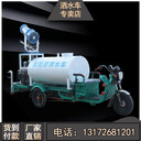 電動霧炮灑水車A廣德電動霧炮灑水車A電動霧炮灑水車廠家批發(fā)