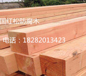 美国进口高品质红松防腐木板材上海易洲厂家批发销售