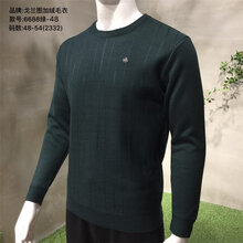 男装品牌大全排行榜_男装品牌标志大全(3)