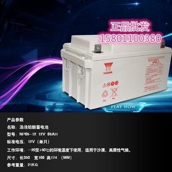 汤浅蓄电池NP210-12UPS直流屏蓄电池12V200AH现货批发