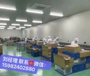 出国劳务年薪40万起急招厨师司机木工瓦工保姆针灸师