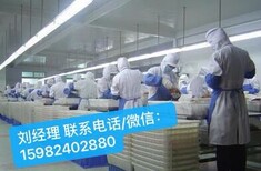 出国劳务年薪40万起急招厨师司机木工瓦工保姆针灸师图片3