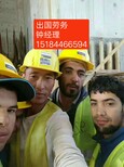 出国劳务派遣澳洲欧洲正规工签建筑农场工厂普工月薪3万图片4