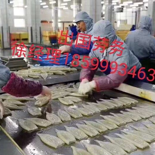 淮北出国务工正规工签发达国家建筑工厂司机月薪三万