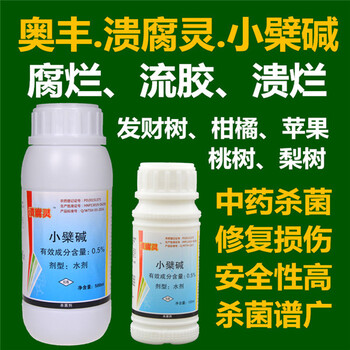 獼猴桃潰瘍病防治新招，潰腐靈刷干靚果安噴霧青枯立克灌根三位一體