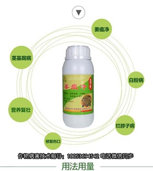 姜瘟凈大蒜油沃豐素噴霧灌根防治生姜姜瘟病爛脖子病
