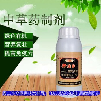 綠色有機(jī)種植基地生姜紋枯病防治方案速凈大蒜油噴霧