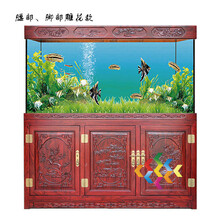 超白缸煙火水族水草缸雨林缸海水缸超白魚缸超白缸圖片