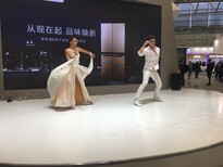 活动策划活动执行舞台搭建灯光音响摄影摄像演艺演出图片5