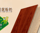 中国板材十大品牌百的宝说饰面板的用途和选择图片