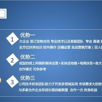 1688分销模式软件定制订制贴牌店铺运营百单技术