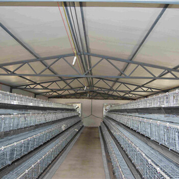 养小鸡的笼子，育雏鸡的笼子，长度1.4米养320只鸡，配件食槽饮水器