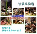 江西翠竹酒特价酒水52度批发