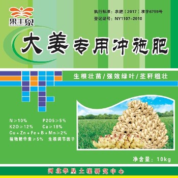 大姜肥姜型好好姜种哪里找好肥料