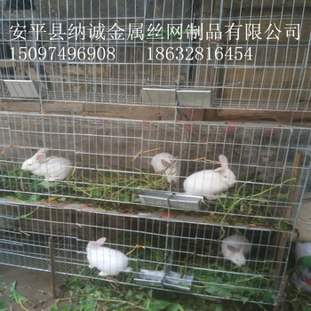 养殖兔笼三层种兔笼河北品牌兔笼厂家纳诚兔笼兔笼价格