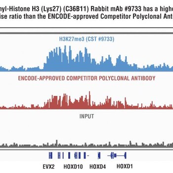 ChIP-seq