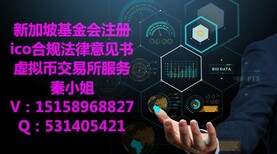 ico发币需要token非证券的法律意见书吗？找谁做图片0