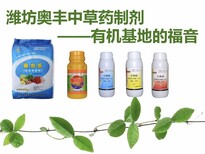 细菌性芒果角斑病药-有机农药靓果安图片3