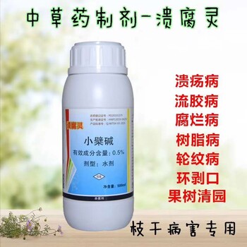 大棚櫻桃樹車?yán)遄恿髂z病用什么藥--中藥殺菌劑潰腐靈