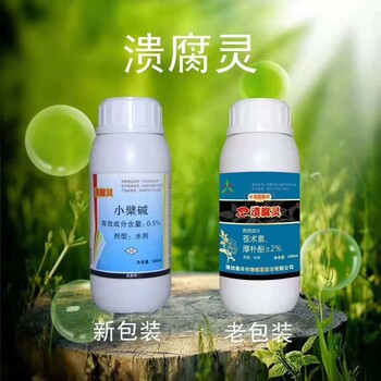 湖南湖北黄桃流胶病良药中草药杀菌剂溃腐灵