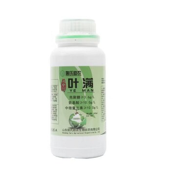 如何促進柑橘秋梢老熟？柑橘秋梢未老熟怎么辦？