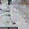 河道大型岩石爆破挖石头破石机