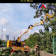灌木修剪機雜草修剪機紫穗槐修剪機,綠籬修剪機圖片