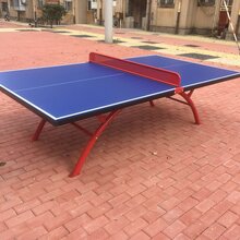 学校乒乓球台生产厂家图片