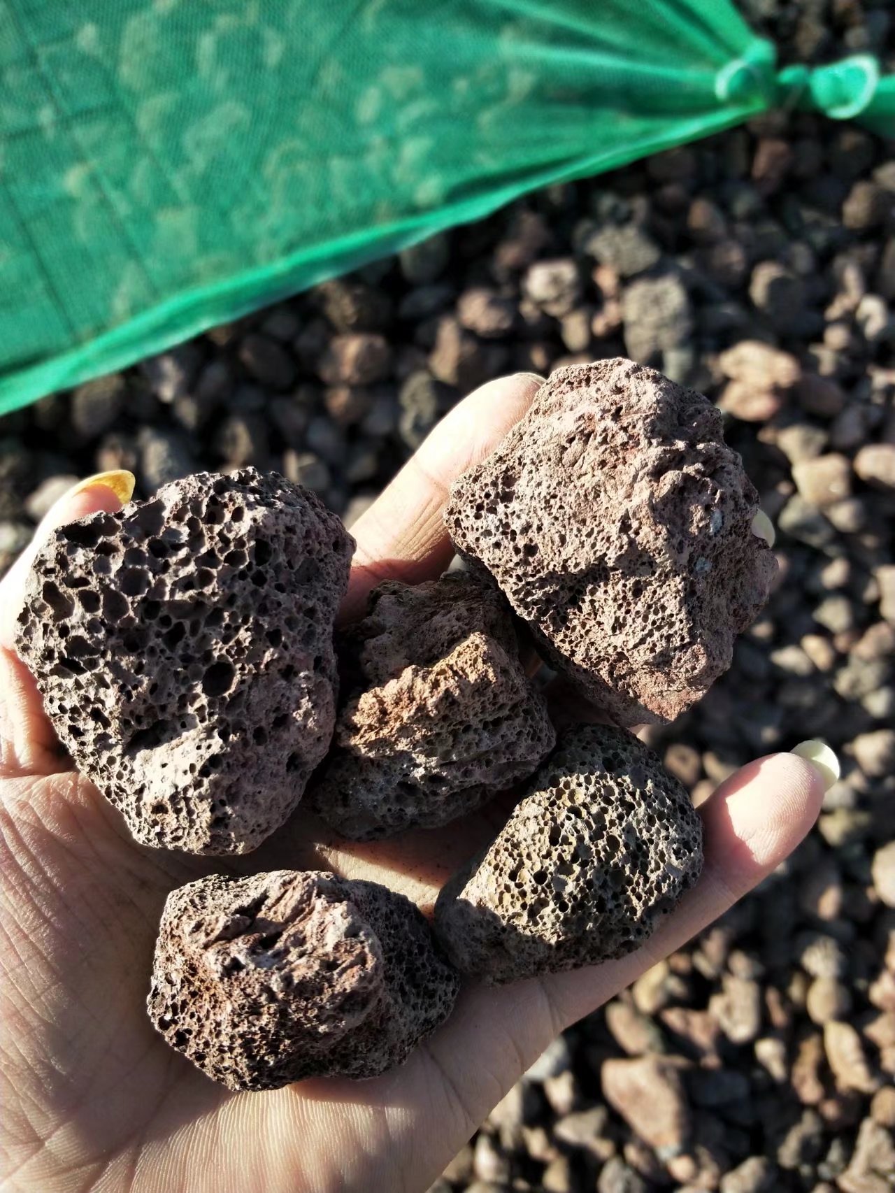 诚鑫厂家批发多肉植物火山石滤料污水处理火山石红色火山石园艺火山石