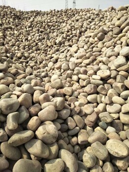 誠鑫廠家供應(yīng)鵝卵石園林按摩路拋光鵝卵石園藝裝飾用白色鵝卵石彩色鵝卵石