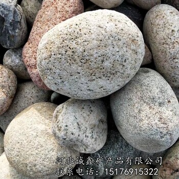誠鑫廠家長(zhǎng)期供應(yīng)天然鵝卵石普通拋光鵝卵石高光鵝卵石機(jī)制鵝卵石