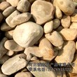 灵寿诚鑫供应鹅卵石河卵石园林铺路装饰卵石图片