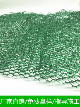 批发EM4三维植被网可加工定制护坡绿化植被网三维土工网垫厂家