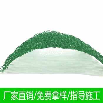 三层国标三维土工网垫中国生态排水网塑料三维网垫三维植被网