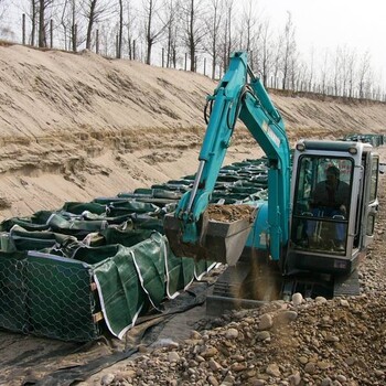 大量批发土工石笼袋加筋pp土工固袋护坡生态固袋