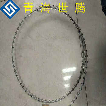 牧場帶刺鐵絲網(wǎng)刀片帶刺鐵蒺藜鐵絲網(wǎng)線防盜網(wǎng)防扒網(wǎng)