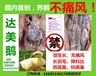 小鹅有痛风用什么，小鹅痛风因为什么，用什么治疗通风