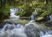 洛阳到栾川重渡沟品质休闲两日游，重渡沟好玩吗,团费288元每人