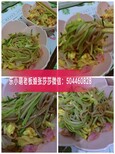 乐小萌良食铺出来多久了？乐小萌产品安全吗？有什么营养成分？图片1