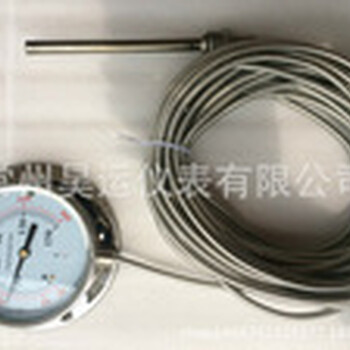 WTZ/WTQ280气体压力式温度计.不锈钢压力式温度计