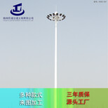 巨捷高杆灯升降机,贺州新款高杆灯瑰丽多彩图片5