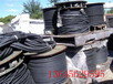 亳州市回收电线电缆(电线电缆回收