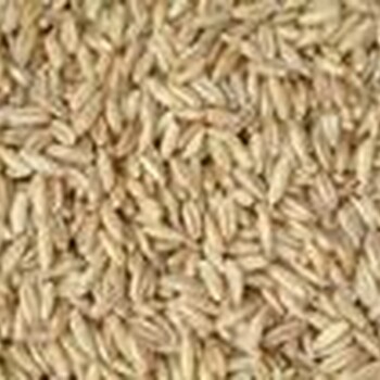 求购··买买买崇州酿酒公司求购高粱·玉米·小麦现款结算