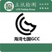 海湾七国GCC认证电熨斗IEC60335-2-3