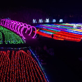 設計夢幻燈光節(jié)廠家制作燈光展造型公司