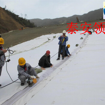 北京垃圾填埋池复合膜-0.5mm厚复合膜厂家欢迎您