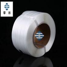 聚酯柔性纤维带