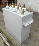 RFM4.0-694-23电解电容器电热电容器