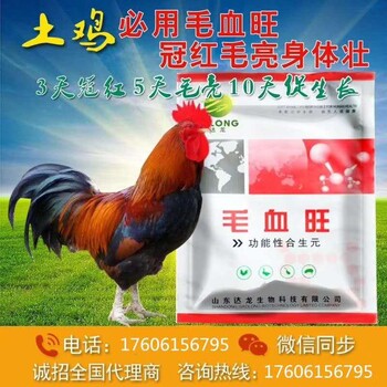 秋冬怎么预防鸡传染疾病鸡怎么羽毛艳丽鸡快速催肥的产品