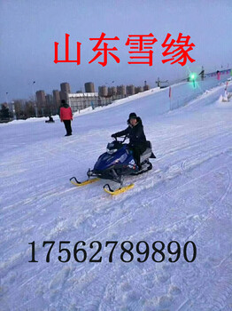 一站式服务商山东学院雪地转转雪地履带式冰上自行车造雪机